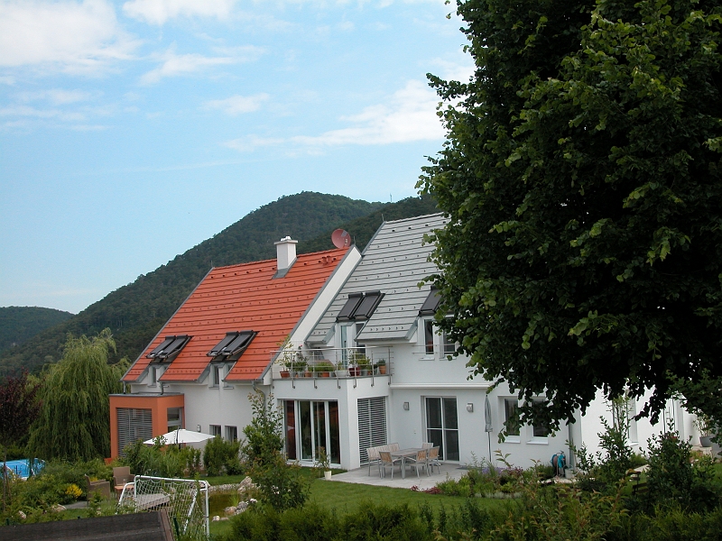 DSCN0005.JPG