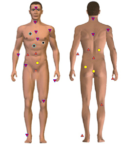 BODY